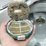 Khu mui loi bo vi khuan long giat 2